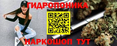 крисы Краснокаменск