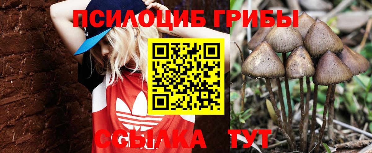 Галлюциногенные грибы GOLDEN TEACHER Касимов