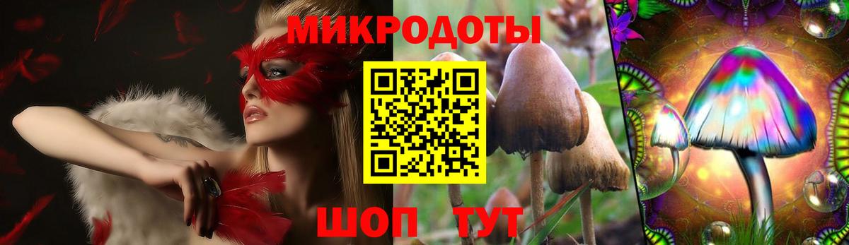 Псилоцибиновые грибы Cubensis  Вход с VPN  Касимов 